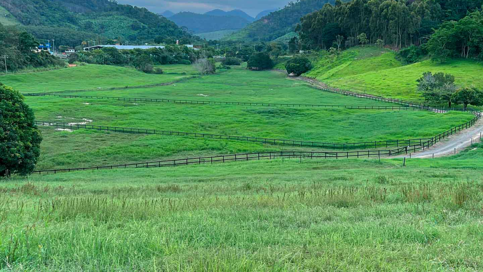Fazenda varejão